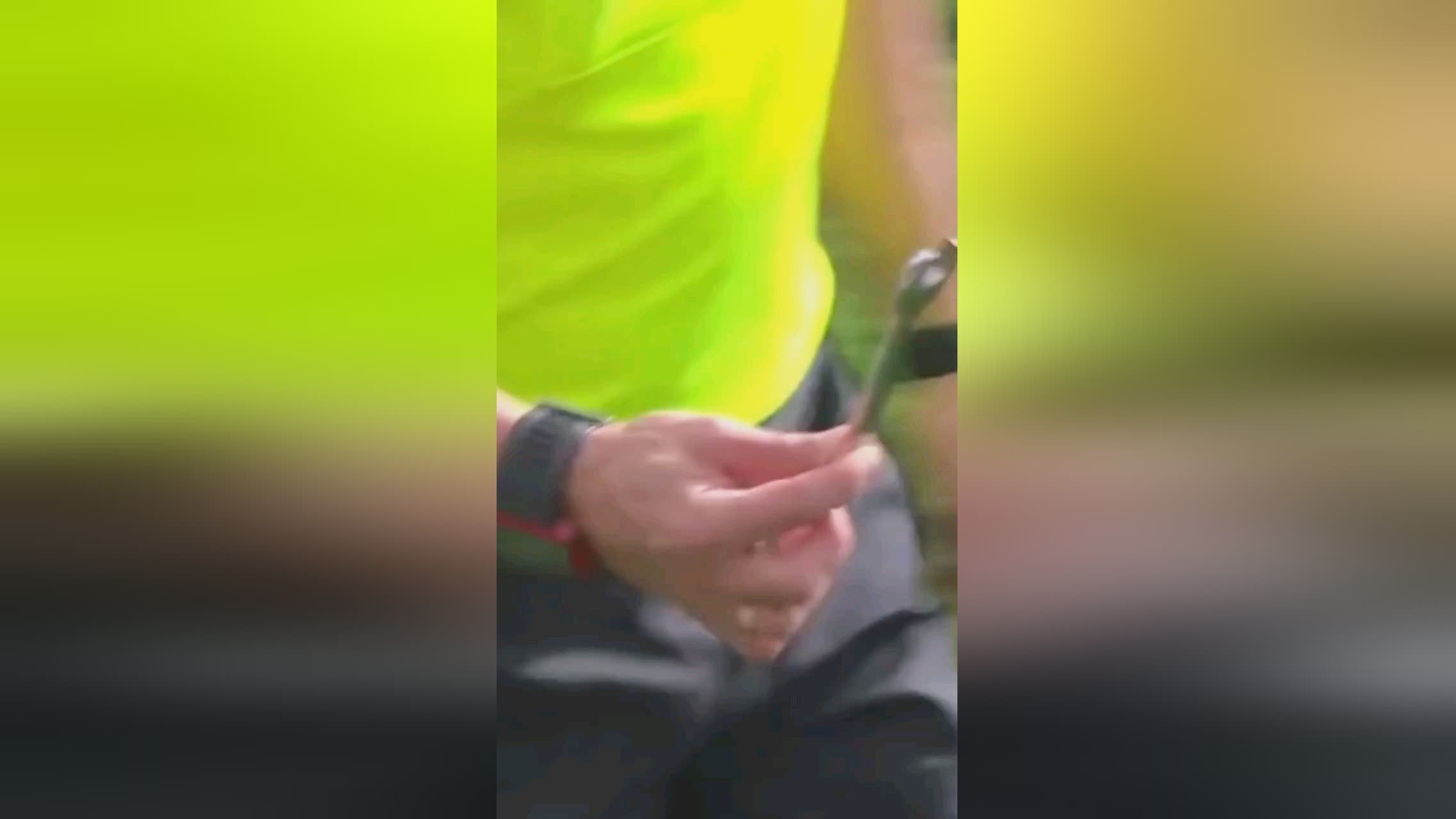 调整了阵容